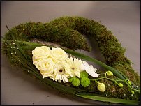 www.floristic.ru - .  