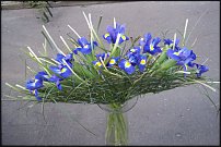 www.floristic.ru - .   ""