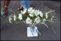 www.floristic.ru - Флористика. жизнь в "НИКОЛЬ"