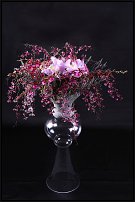 www.floristic.ru - .       , 