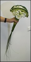 www.floristic.ru - .   ""