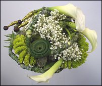 www.floristic.ru - .   ""