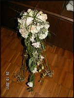 www.floristic.ru - .    