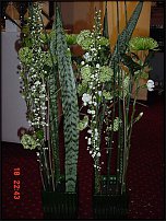 www.floristic.ru - . !!!!!