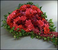 www.floristic.ru - .  