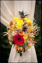 www.floristic.ru - .    