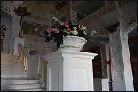www.floristic.ru - .     -   !