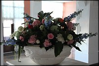 www.floristic.ru - .     -   !