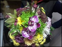 www.floristic.ru - .  .