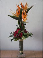 www.floristic.ru - . !!!!!