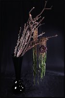 www.floristic.ru - .       , 