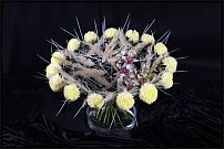 www.floristic.ru - .       , 