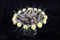 www.floristic.ru - .       , 
