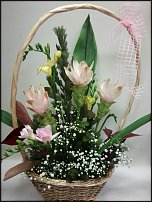 www.floristic.ru - . ,  .