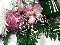 www.floristic.ru - .    !!!