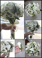 www.floristic.ru - .  