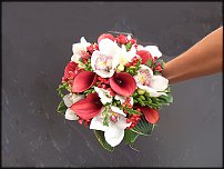 www.floristic.ru - .  