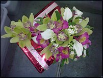 www.floristic.ru - .  .