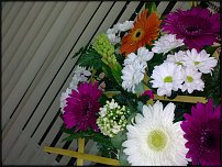 www.floristic.ru - .    !!!