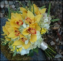 www.floristic.ru - Флористика. Цикламен