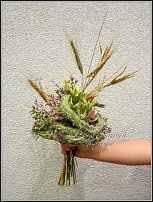 www.floristic.ru - Флористика. Колоски-колосочки...