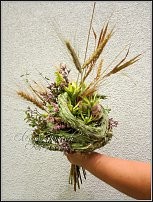 www.floristic.ru - . -...