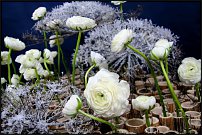 www.floristic.ru - . -    - 28.10.11