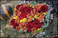 www.floristic.ru - .  !!