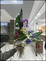 www.floristic.ru - .   