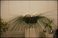 www.floristic.ru - . -    7