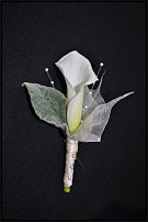 www.floristic.ru - Флористика. Помогите!!!!!
