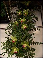 www.floristic.ru - Флористика. Экспонировать витрину и товар в ЦВЕТОЧНОМ магазине-это как?