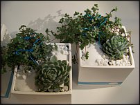 www.floristic.ru - Флористика. Экспонировать витрину и товар в ЦВЕТОЧНОМ магазине-это как?