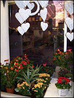 www.floristic.ru - Флористика. Экспонировать витрину и товар в ЦВЕТОЧНОМ магазине-это как?