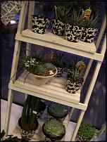www.floristic.ru - Флористика. Экспонировать витрину и товар в ЦВЕТОЧНОМ магазине-это как?