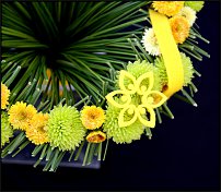 www.floristic.ru - .  .