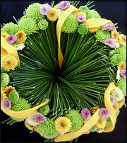 www.floristic.ru - .  .