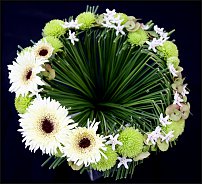 www.floristic.ru - .  .