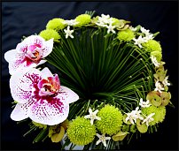 www.floristic.ru - .  .