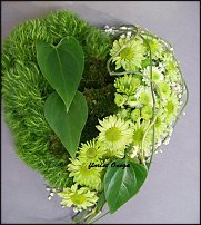 www.floristic.ru - .  