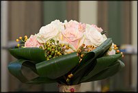 www.floristic.ru - . Gary Loen -  