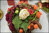 www.floristic.ru - . Gary Loen -  