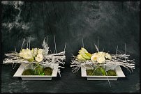 www.floristic.ru - . Gary Loen -  