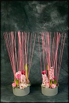 www.floristic.ru - . Gary Loen -  