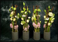 www.floristic.ru - . Gary Loen -  