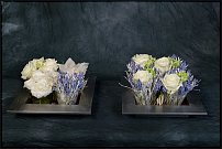 www.floristic.ru - . Gary Loen -  