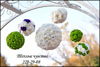 www.floristic.ru - .    