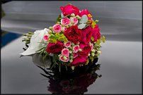 www.floristic.ru - .  .