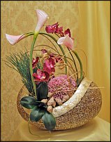 www.floristic.ru - .      .