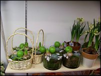 www.floristic.ru - Флористика. Экспонировать витрину и товар в ЦВЕТОЧНОМ магазине-это как?